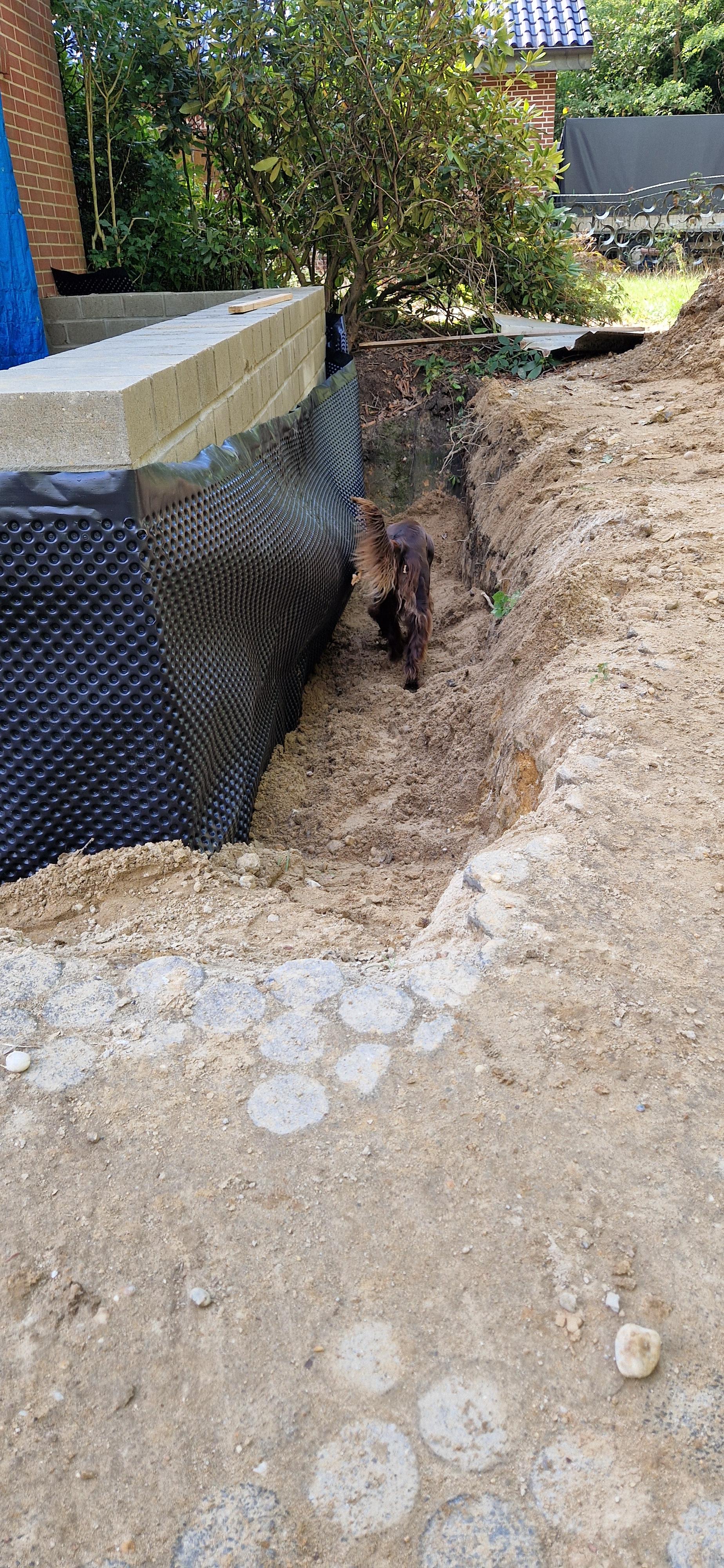 Zwarte noppenfolie voor werkvloer gebruik: Zwarte noppenfolie voor werkvloer